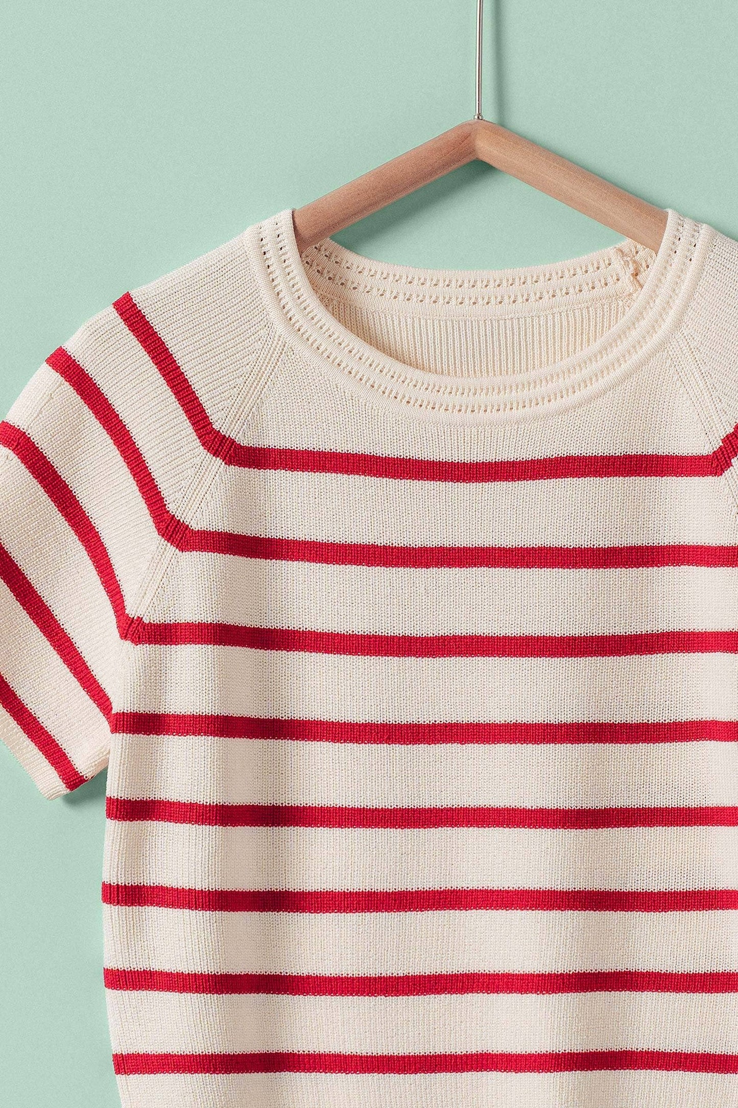 Classic Striped Raglan Sleeve Knit Top