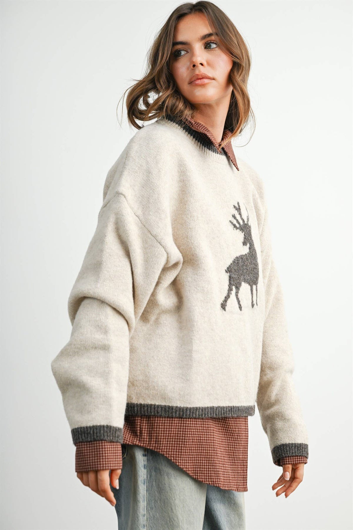 Reindeer Graphic Knit Sweater