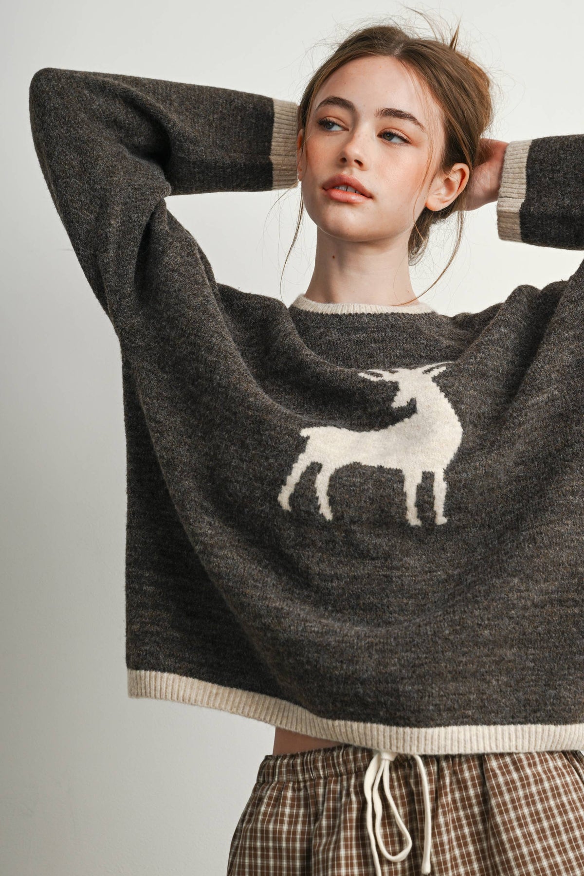 Reindeer Graphic Knit Sweater